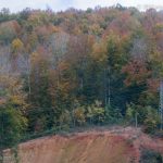 Kirklarli-Landscape_023