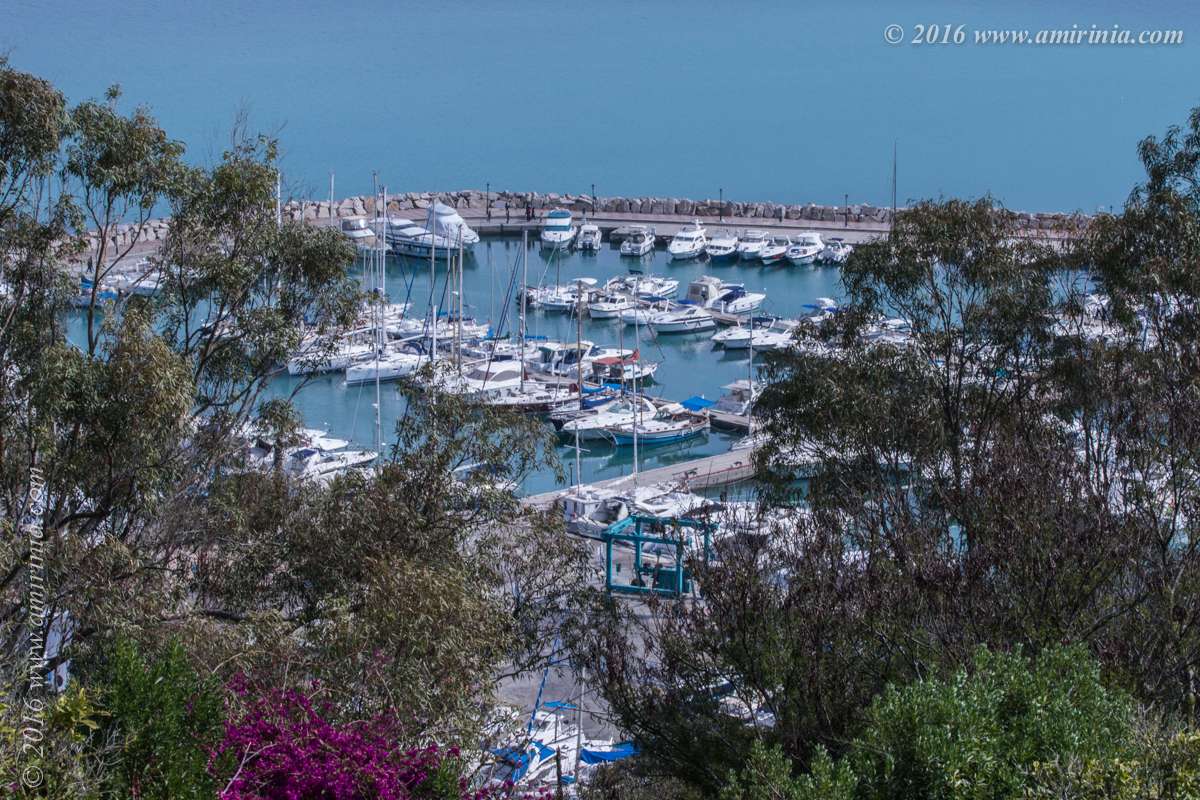 Sidi Bou Saeed